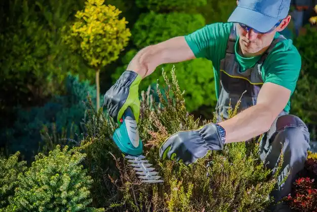 landscaping services Wynantskill